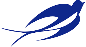 logo lsn
